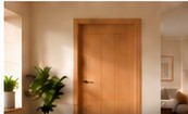 Internal Doors